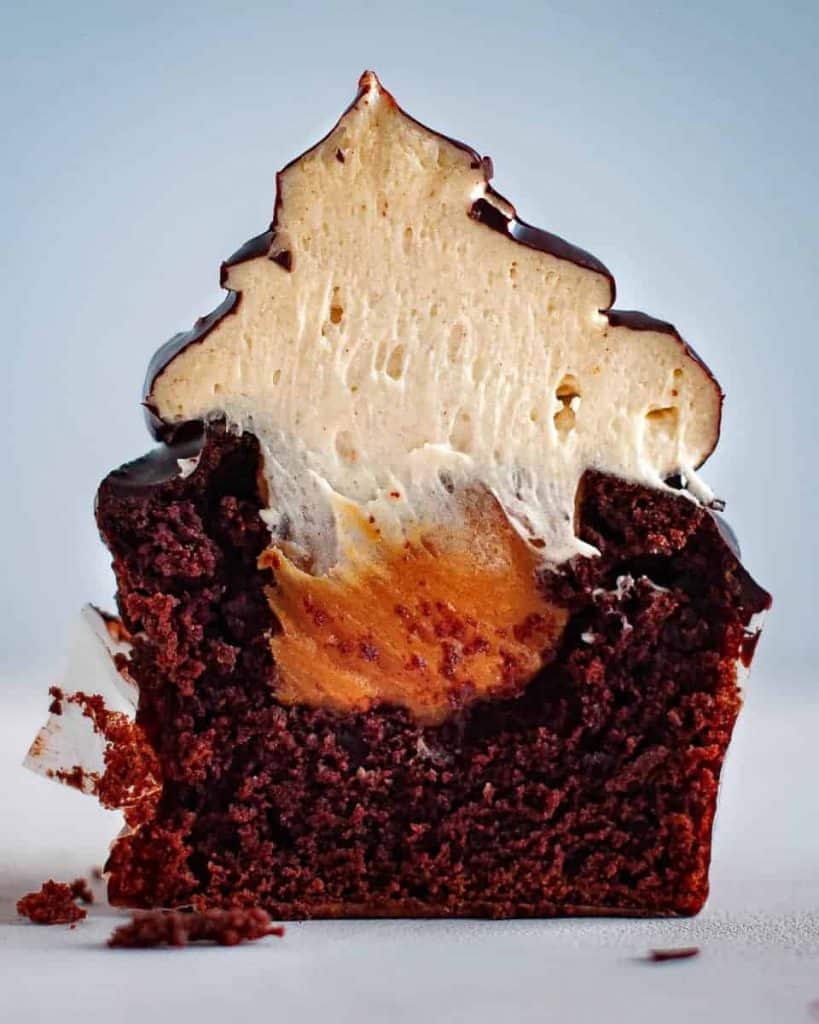 delicious cake cross-section