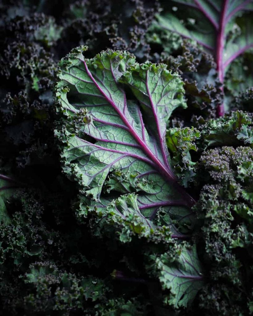 How to Eat Kale (and actually enjoy it!) - School Night Vegan