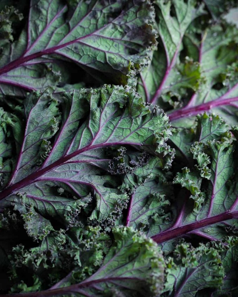 How to Eat Kale (and actually enjoy it!) - School Night Vegan