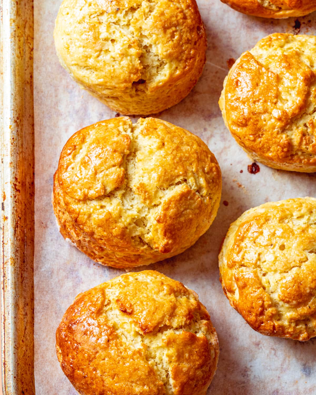 Vegan Scones (Quick and Easy!) School Night Vegan