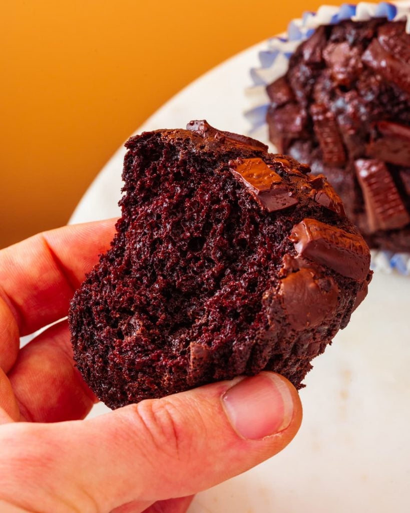 vegan chocolate muffins