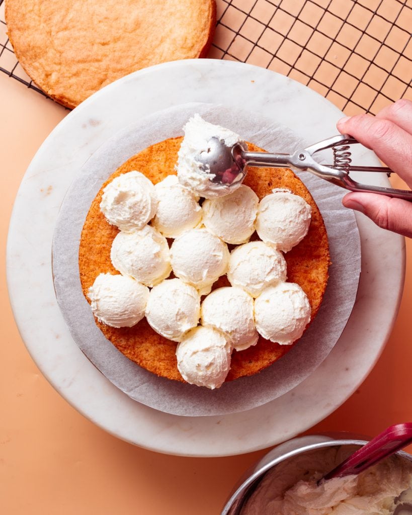 Vegan Birthday Cake - School Night Vegan