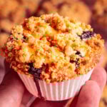 vegan blueberry muffins