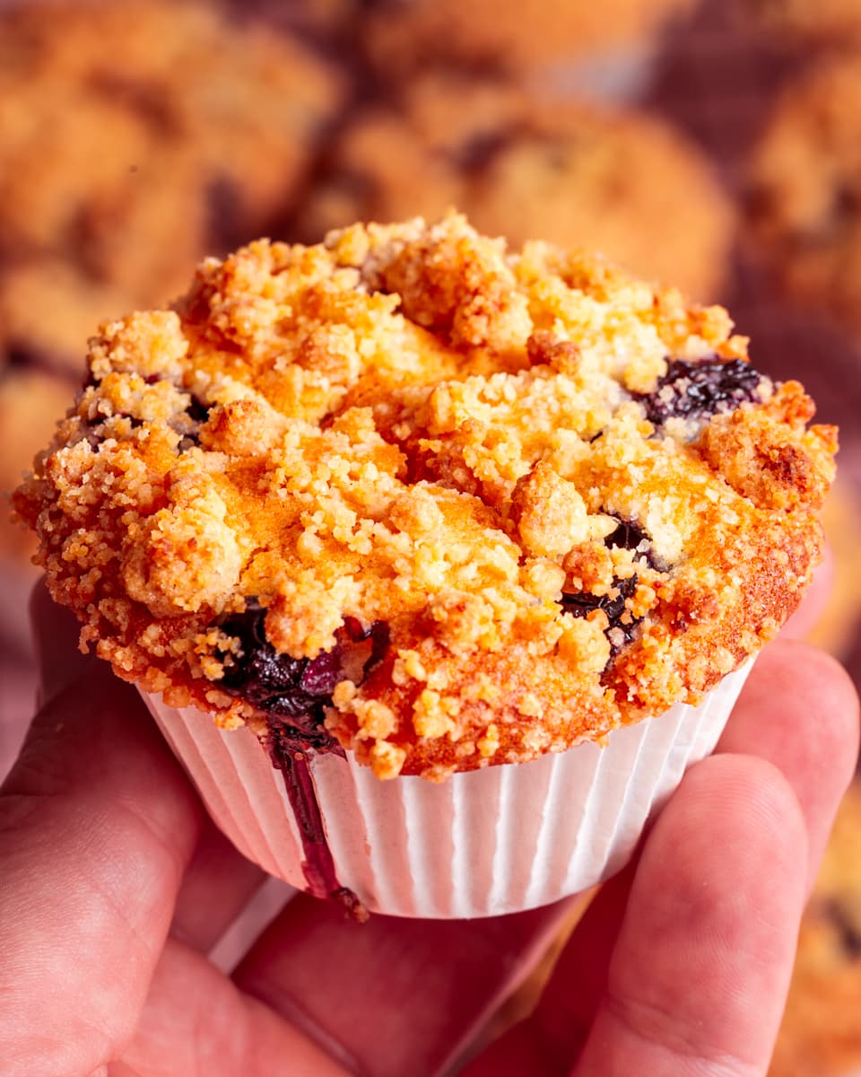 vegan blueberry muffins