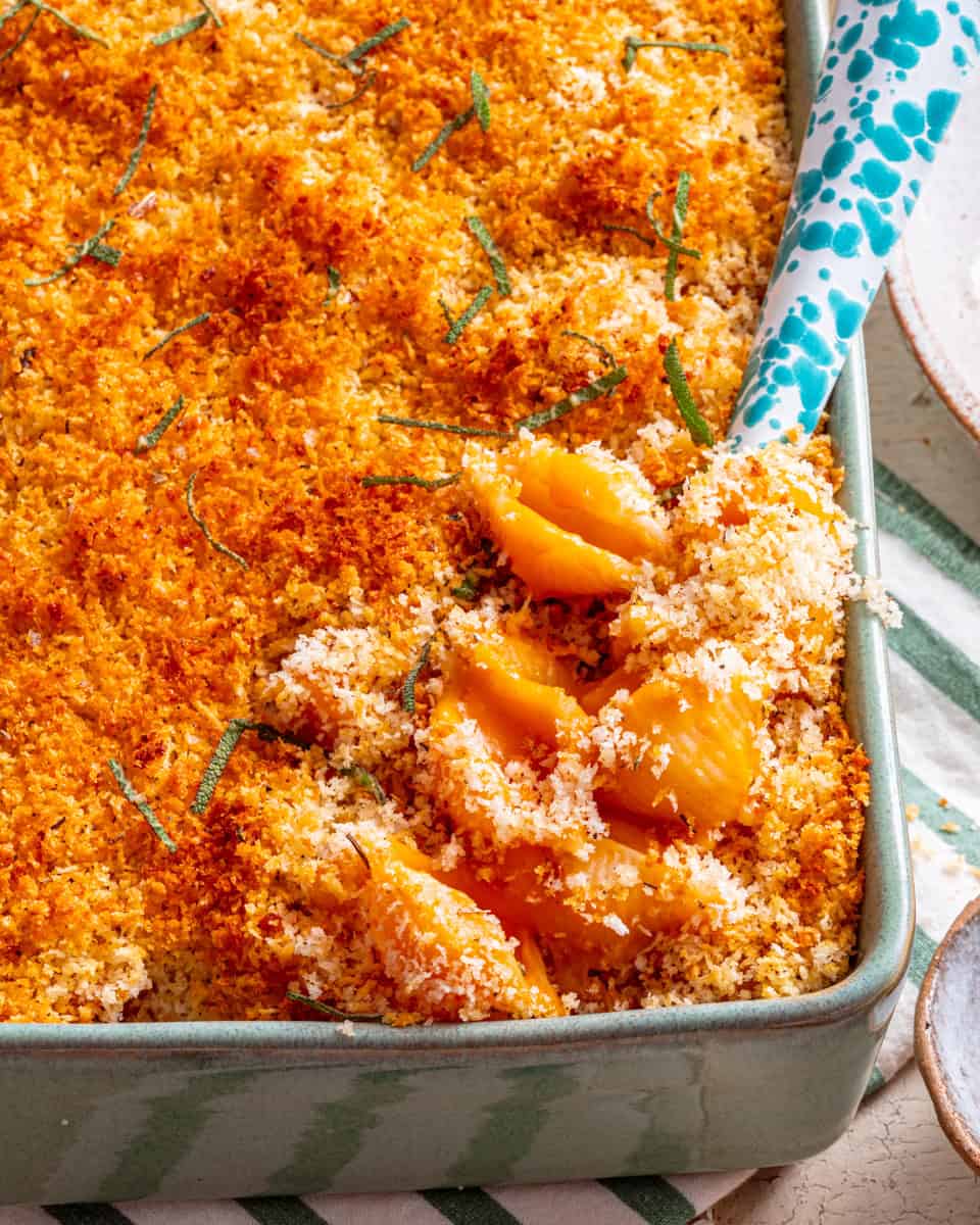 Vegan Pumpkin Mac and Cheese